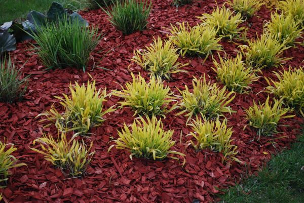 Red Mulch Installation in Canton