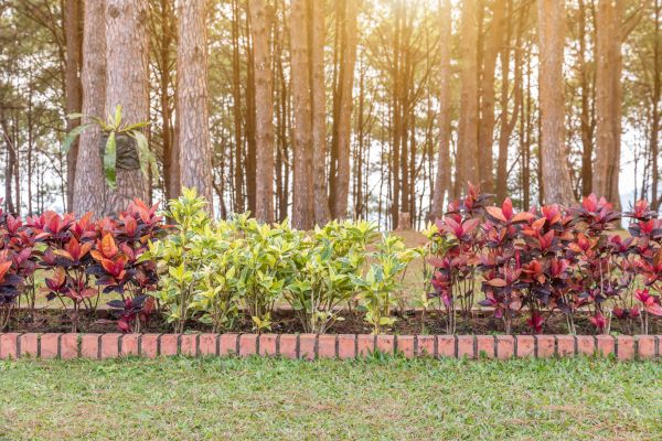Small Garden Landscaping in Canton