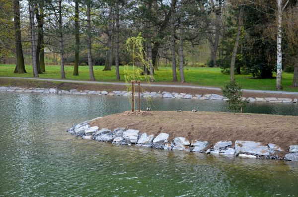 Pond Landscaping Service in Canton