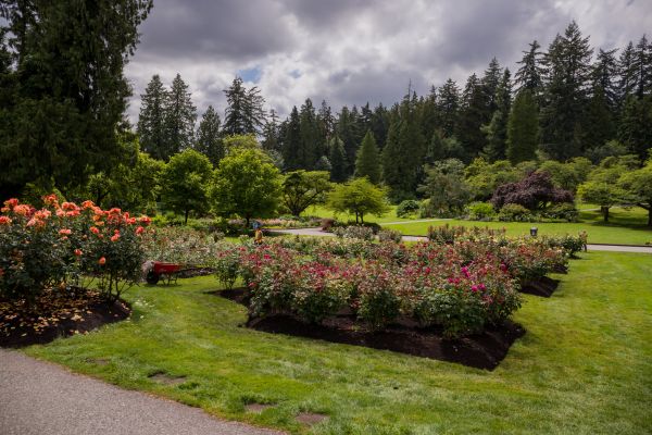 Flower Garden Landscaping in Canton