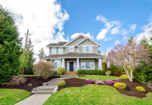 Landscaping Replacement in Canton