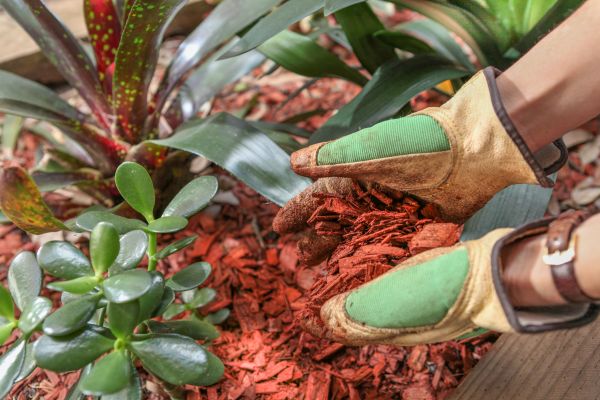 Residential Mulching in Canton