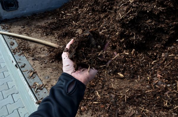 Condo Mulching in Canton