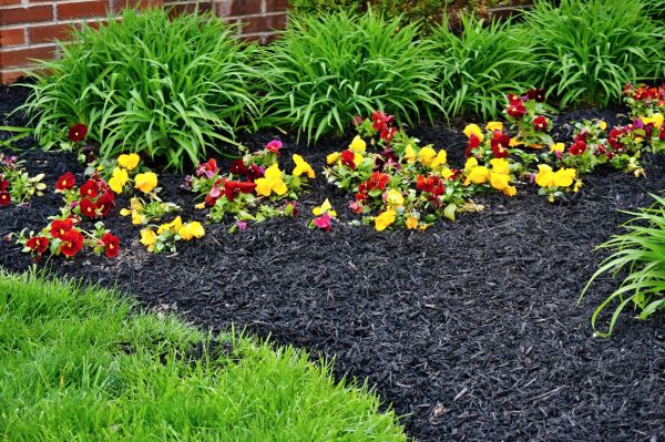 Apartment Mulching in Canton