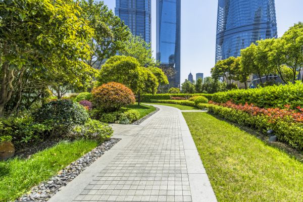 Commercial Landscaping in Canton